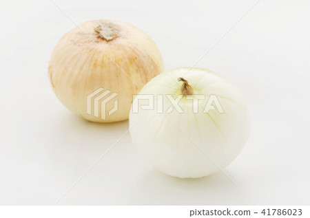 New onions New onions 41786023