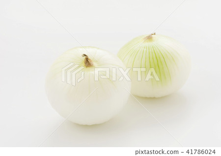 New onions New onions 41786024