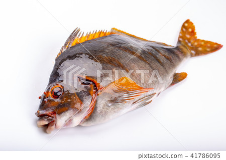 Takanohajodai成分 Takanohajodai成分 41786095