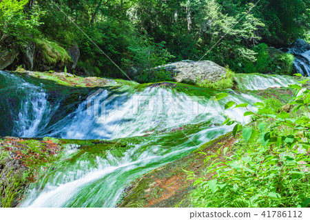 Fresh green miscellaneous concealed waterfall Fresh green miscellaneous concealed waterfall 41786112