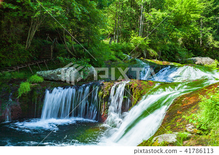 Fresh green miscellaneous concealed waterfall 41786113