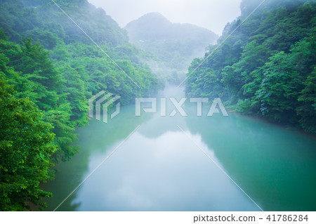 新鮮的綠河 新鮮的綠河 41786284