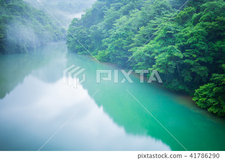 新鮮的綠河 新鮮的綠河 41786290