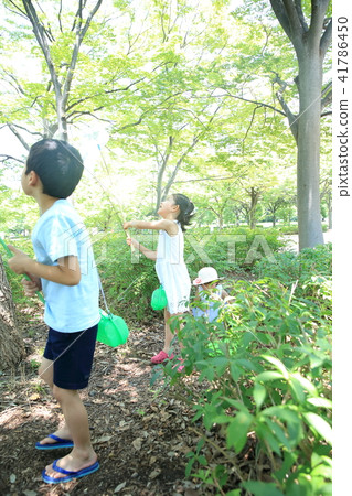 Child to take insects 41786450
