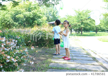 Child to take insects Child to take insects 41786581