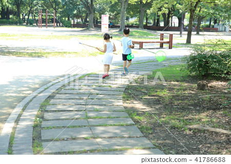 Child to take insects Child to take insects 41786688