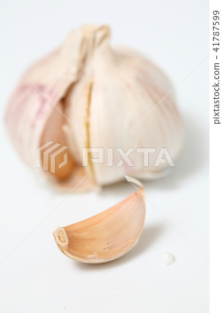 Fresh garlic isolated on white background Fresh garlic isolated on white background 41787599