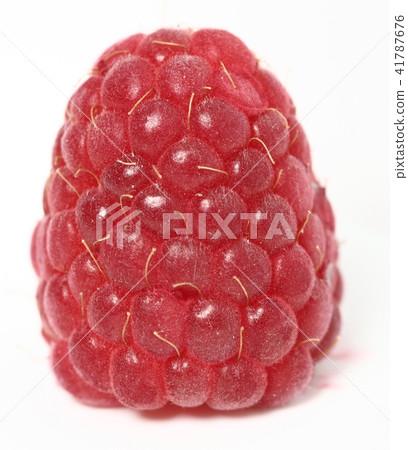 One rich raspberry fruit on a white background. Macro. One rich raspberry fruit on a white background. Macro. 41787676