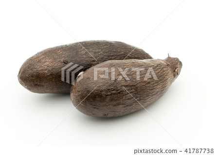 Yanpi sweet potato: yampi 41787738