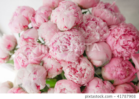 Wallpaper. Lovely flowers pink peonies . Floral compositions, daylight. 41787908
