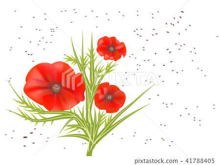 poppy seeds backgroound poppy seeds backgroound 41788405