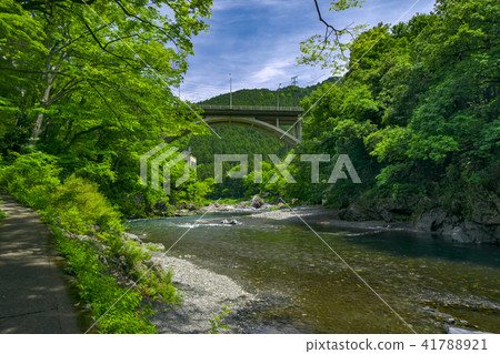 抵達峽谷新鮮綠色的橋樑 抵達峽谷新鮮綠色的橋樑 41788921