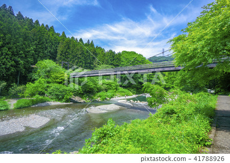 在新綠色的峽谷穀神路橋樑 在新綠色的峽谷穀神路橋樑 41788926