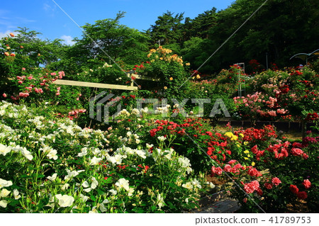 Hanamaki Onsen Rose Garden Hanamaki Onsen Rose Garden 41789753