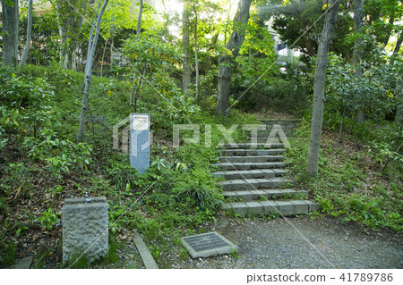 Yeosimpia Valley No. 2水平孔痕跡 Yeosimpia Valley No. 2水平孔痕跡 41789786