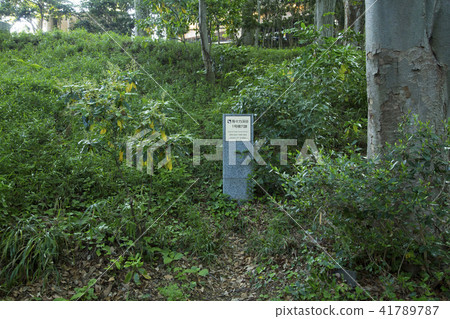 Yeozumi Valley No.1水平孔痕跡 Yeozumi Valley No.1水平孔痕跡 41789787