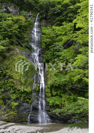Fudo Falls(佐野縣吉野郡戶津川村) Fudo Falls(佐野縣吉野郡戶津川村) 41790341