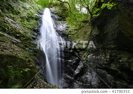 Dragonfly waterfall (Kawakami village, Yoshino gun, Nara prefecture) Dragonfly waterfall (Kawakami village, Yoshino gun, Nara prefecture) 41790355