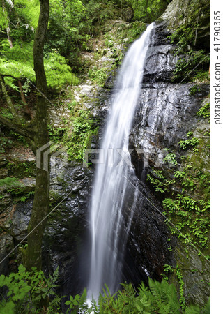 Dragonfly waterfall (Kawakami village, Yoshino gun, Nara prefecture) Dragonfly waterfall (Kawakami village, Yoshino gun, Nara prefecture) 41790365