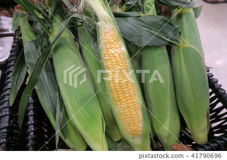 Corn Corn 41790696