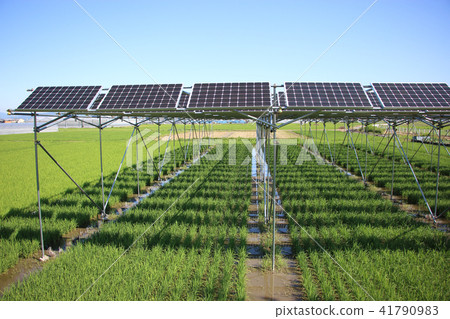 Solar panel _ farming type solar Mie prefecture Kiso Cape Town 41790983