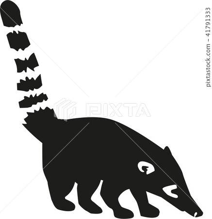 Coati silhouette with details 41791333