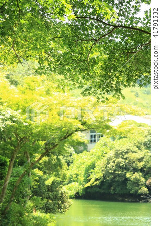 Summer sickle North Lake 41791532