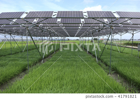 太陽能電池板_農業型太陽能三重縣木曾開普敦 41791821