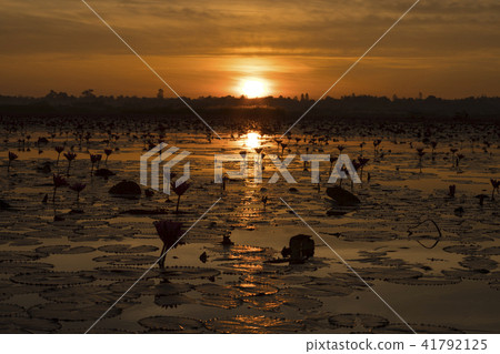 Talayabaden的朝日 41792125