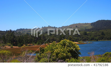 Piracitos Lake San Francisco Bay Area Peninsula Area early summer Piracitos Lake San Francisco Bay Area Peninsula Area early summer 41792186