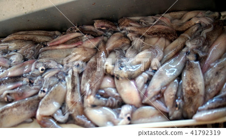 半月灣漁夫的市場舊金山灣區魚 41792319