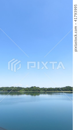 Tamaoka Tamaoka 41793995