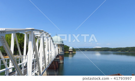 Tamaoka Tamaoka 41793997