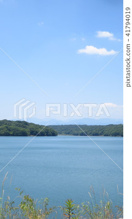 Sayama Lake Sayama Lake 41794019