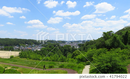 Sayama Lake 41794022