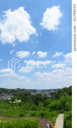 Sayama Lake 41794024