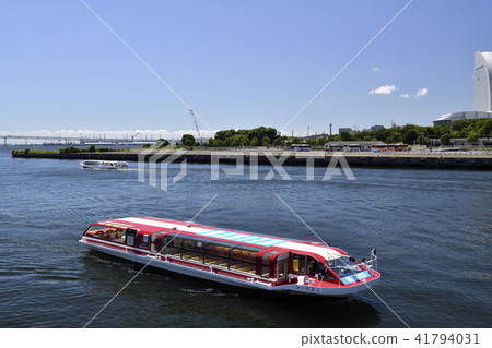sea bass 41794031