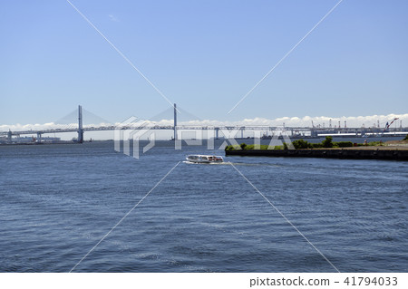 Sea Bass and Bay Bridge 41794033