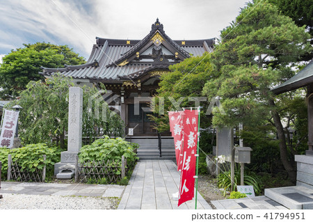 妙子(鎌倉市小町) 妙子(鎌倉市小町) 41794951