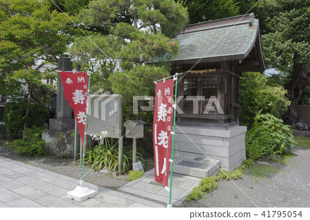 Old Man of Myokoji (Kamakura City Komachi) 41795054