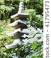 Kasakura's hydrangea 41795473