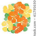 黃色和橙色懷舊的花朵 41795630