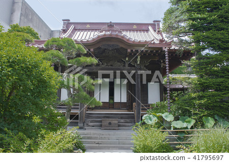 Daishi-ji和Omesama(鎌倉市小町) Daishi-ji和Omesama(鎌倉市小町) 41795697