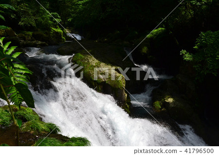 Kikuchi Valley in the early summer A stream of coolness and a healing forest of water and green 41796500