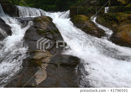 Kikuchi Valley in the early summer A stream of coolness and a healing forest of water and green 41796501