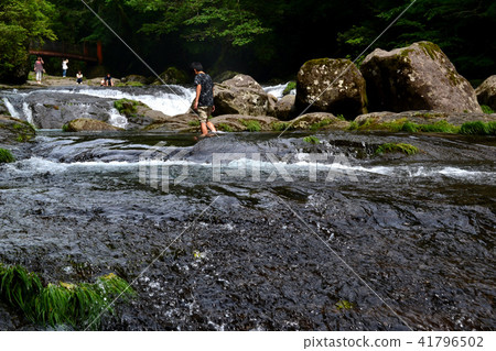 初夏的菊池谷（Kikuchi Valley）涼爽的水流和綠色的治療森林 41796502