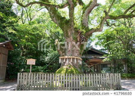 Nagoya-shi Atsuta Jingu Osuni 41796680