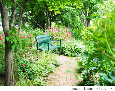 Rose garden bench 41797487