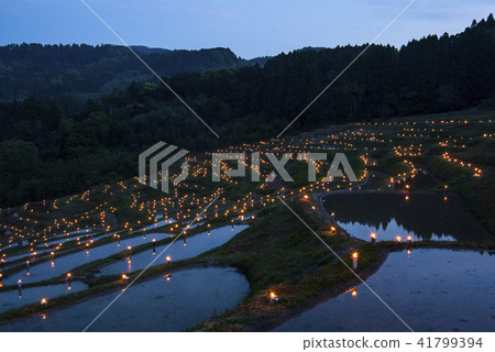 Rice paddy light Rice paddy light 41799394