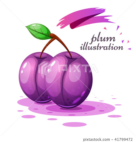 Cartoon plum illustration on the grey background Cartoon plum illustration on the grey background 41799472